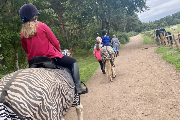 Kinshaldy Riding Stables – Pony Rides, Hacking, Lessons and much more!